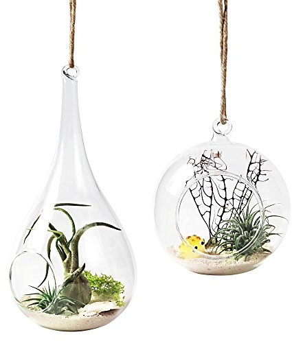 Mkono 2 Pack Glass Hanging Planter Air Fern Holder Terrarium Plants Hanger Vase Home Christmas Decoration Gift Idea for Succulent Moss Tillandsias Air Plants, Globe and Teardrop
