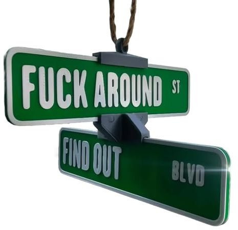 Fuck Around And Find Out Street Sign Hanger, 3D Printed Rotating Warning Sign Decoration Funny Car Mirror Ornament Funny Decorations for Car Truck Garage Home Decor(Grün)