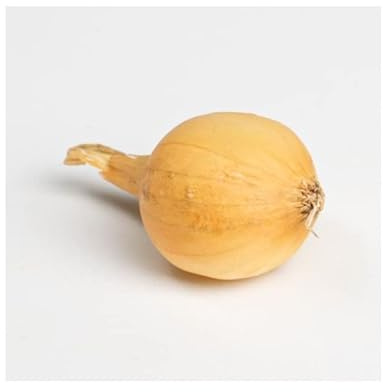 Debaere - Jaune Paille des vertus Bulbes d'Oignons a repiquer 500gr