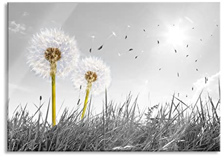 Pixxprint Glasbild, Wandbild aus Echtglas, Pusteblumen auf Wiese, 60x40 cm, inkl. Aufhängung und Abstandshalter