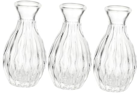 LOORGVEL 3 Piezas Frascos de Vidrio Transparentes para Difusor de Aromaterapia Botellas Decorativas de Apertura Ancha para Perfumes y Aceites Esenciales Multiusos para Decoración y Viajes