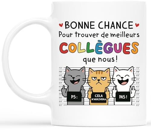Cadeau Plus Mug Une Formidable COLLÈGUE - Mug Humour Collegue, Mug Equipe De Choc, Cadeau Collegue De Travail Femme, Idee Cadeau Homme Collegue, Depart Collegue De Travail (Modèle #2)