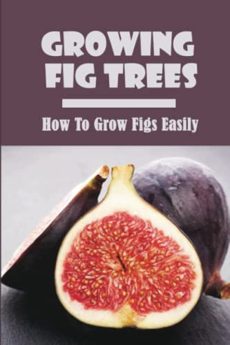 Growing Fig Trees: How To Grow Figs Easily