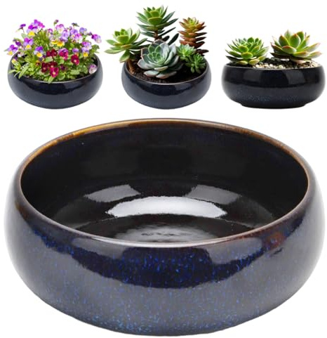 Hydroponisk keramikkruka, glas lotusblomskål, bonsaiskål lotusblomma, klar design, för blomma, inomhus/utomhus