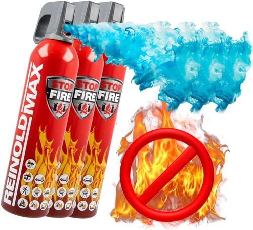 ReinoldMax Piccolo estintore per auto, mini estintore per barca, estintore per camper, estintore elettrico, Aerosol 5 in 1 per tutti gli incendi, estintore commerciale, estintore ad acqua da 750ml