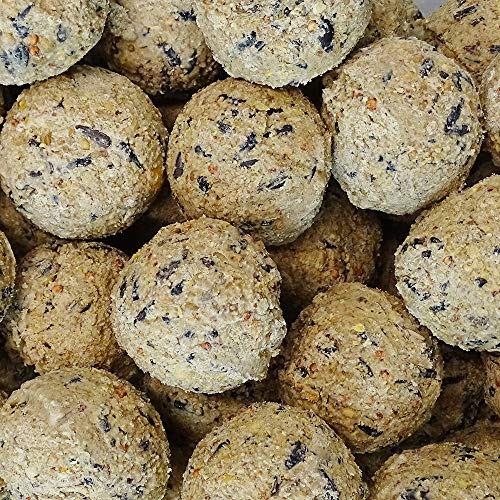 Boules de graisse 100 x environ 90 g sans filet