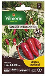 Vilmorin - Sachets graines Poivron Balconi Vilmorin