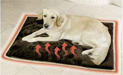 WENKO Auto Raumentfeuchter 1000g Tropfen 2er Set Feuchtigkeitskiller Feuchtigkeits-Stopper reduziert Schimmel & Gerüche Auffangschale Raumentfeuchter nachfüllbar Luftentfeuchter ohne Strom