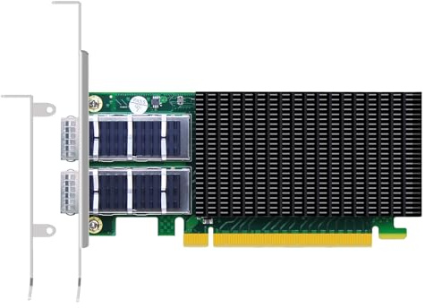 GLOTRENDS ST7338 Carte réseau Ethernet 2 Ports 100 GB QSFP28 avec contrôleur Mellanox ConnectX-5, Interface PCIe 3.0 X16, RDMA (RoCE), sans Infiniband