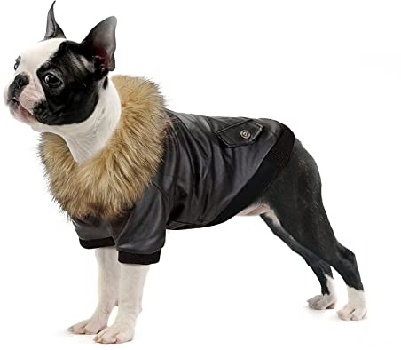 NAMSAN Veste en Cuir pour Animaux de Compagnie Imperméable Hiver Vêtements pour Chiens Manteau d'automne d'hiver Chaud pour Petits Chiens Moyens-Noir