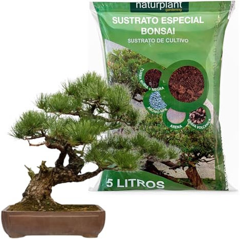 Sustrato Bonsai Tierra para Plantas| Compuesto por turba Rubia y Negra, Arena, Grava y abono | Ideal para el Crecimiento Saludable de Tus bonsáis | Pack 5 litros