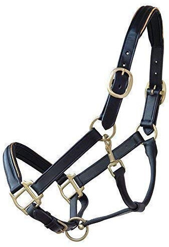 Riding Lederhalfter Barnabas 2. Wahl Pony