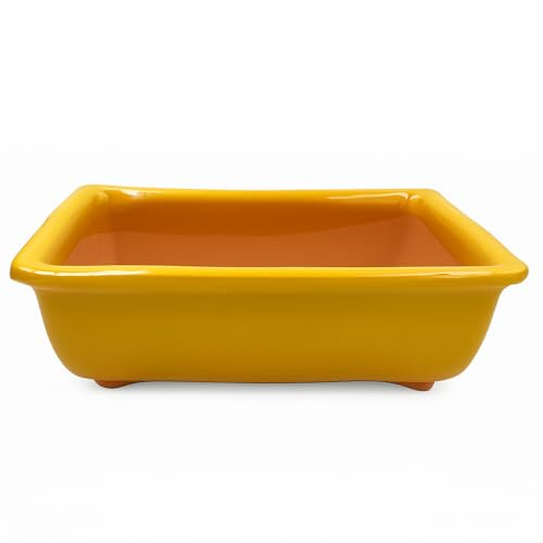 FRANCACOR Maceta TERRINA Bonsai Barro ESMALTADO Colores (21.5 X 14.5 X 7 CMS, Amarillo)