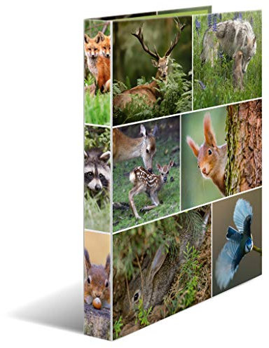 HERMA Ringbuch A4 Waldtiere, schmal, 2 Ringe, 35 mm breit, Kinder Ringordner mit Tier Motiv, bunter Ordner mit Innendruck für Jungen und Mädchen