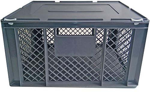 BRB XL Transportbox für Kleintiere/Katzen/Kleine Hunde, Seitenwände vergittert, Boden geschlossen - LxBxH 600x400x320 mm, mit Scharnierdeckel