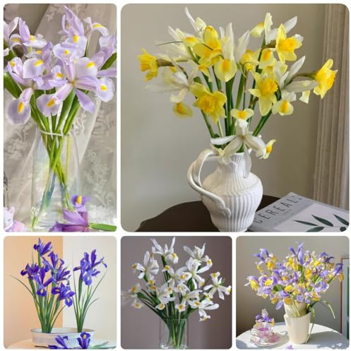 semillas de iris, semillas de silvestres iris tectorum, Las perennes son perennes resistentes 80pcs