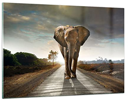 ARTTOR Decoracion Salon Elefante camino campo Vidrios decorativos 120x80cm Cuadro Sobre Vidrio Moderno Cocina Cuadros Pared Impresiones Impresión en Cristal Wall Art Prints Grande XXL GAA120x80-0214