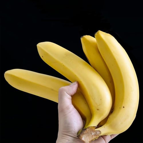 semillas de banano semillas exóticas 10pcs