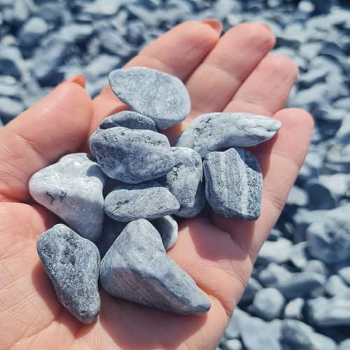 V-PREMIUM SOLUTION Dekosteine Grau 2-4 cm 15 kg - Kieselsteine Deko Garden für Teich und Gabionen - Kleine Steine für Blumentöpfe, Vasen, Terrarium und Aquarium - Schöne Gartendeko Natur