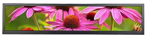 VSDISPLAY 24 Inch 1920x360 IPS Stretched Bar LCD Monitor with USB Video Interface,24 Inch Screen Supporting 180 Degree Viewing Image Rotation