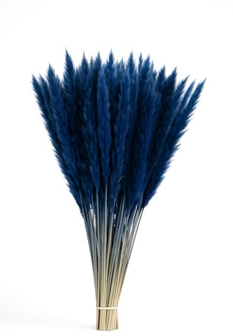 Fresh Plants Pflanze - Set mit 5 blauen stabilisierten Pampasgräsern Höhe ca. 85 cm