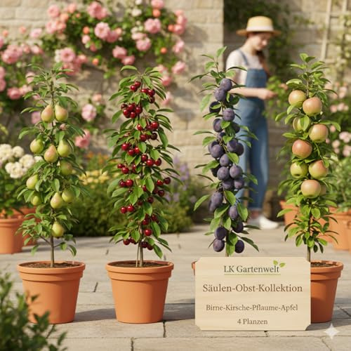 Garten-Kollektion Premium Säulen-Obstbäume Set, 4 Winterharte Pflanzen, Birne, Kirsche, Pfrisich, Apfel, Platzsparend