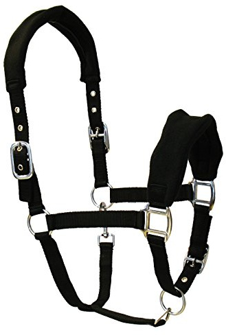 JF-Reitsport Nylon-Halfter weich unterlegt 3-Fach verstellbar