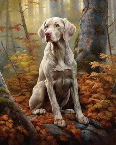 ZMHZMY Malen nach Zahlen Erwachsene, Weimaraner Hund, Herbstwald 40 x 50cm DIY Handgemalt Ölgemälde Kits auf Leinwand Geschenk für Weihnachten Geburtstag, Home Haus Deko