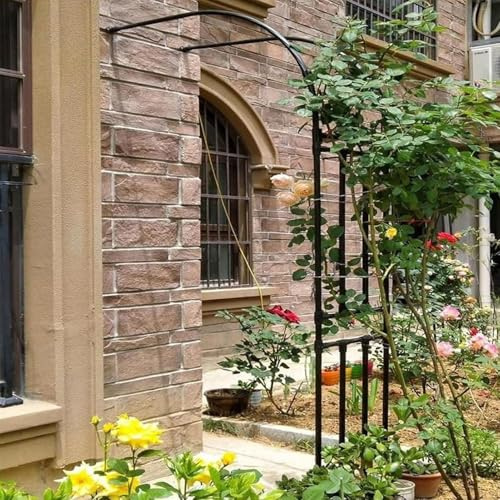 Treillis d'arche de Jardin Demi-côté, pergola en Treillis métallique pour Plantes grimpantes en Plein air, Arche de Vigne, Support de Fleurs de Patio d'arrière-Cour(120x240x40CM/3.9x7.9x1.3ft)
