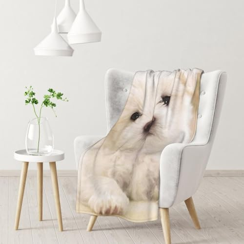 InOmak Cucciolo maltese carino,Coperta morbida, calda, anti-pilling, in flanella, peluche, 76 x 102 cm