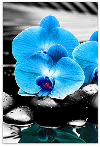 Wandsticker Dekosticker H5610M_NS1DO Orchidee 105x155cm Türkis