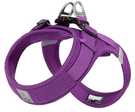 WINHYEPET Step-In Dog Harness,Easy Adjustment Harness(Purple,2XS) | Truelove Dog Harness Soft Mesh Reflective Breathable with Safety Buckle for Extra Small and Small Dogs