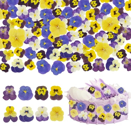 96 Pcs Natural Dried Pressed Mix Viola Tricolor Flowers, 8 Varieties of Pansy Dried Flowers for Decorating Cake, Cupcake, Cocktail Garnish, Crafting Resin Jewellery, and DIY Crafts (Colour One)