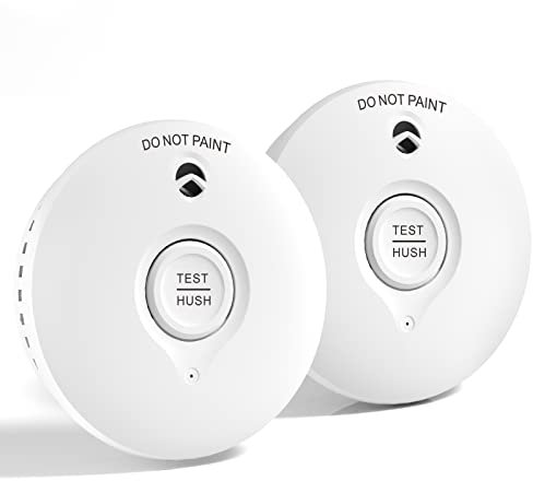 Ruan White 10-year battery Photoelectric Smoke Alarm Easy installation Smoke Detector with Silence Button Conforms to EN14604 Standard 2 Pack