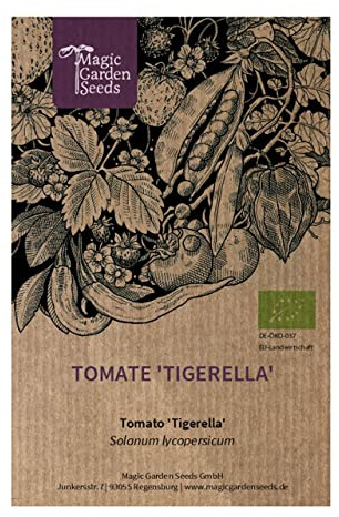 Geflammte rot-gelbe Tiger-Tomate 'Tigerella' (Solanum lycopersicum) 10 Samen