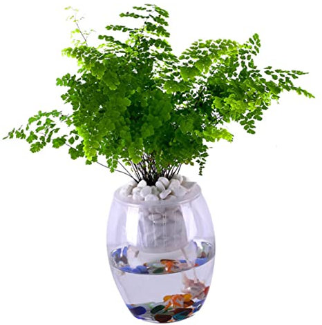 Cabilock Automatische Bewässerung Cotton Rope Für Pflanzen Absorbierendes Seil Für Hydrokultur Und Topfpflanzen Für Urlaub Und Gartenpflege