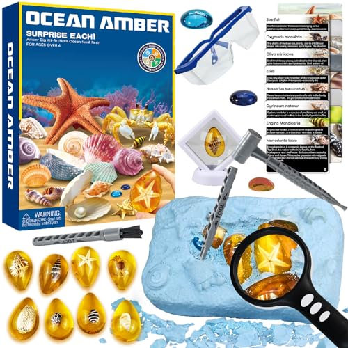 Set di Scavo di Ambra per Bambini, Fossili da Scavare Scienza e Gioco Minerali da Collezione, Esperimenti Scientifici per Bambini, Regali Giocattolo per Bambini Bambina 7 8 9 10 12 anni