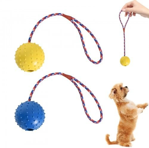 Cleminsta 2 Stück Hundeball mit Schnur, Ball mit Seil Naturkautschuk Wurfball Hundespiel-Ball mit Schnur Weich und Elastisch, Wurfball mit Seil für Große & Kleine Hunde (Gelb & Blau, ø 5 X 30)