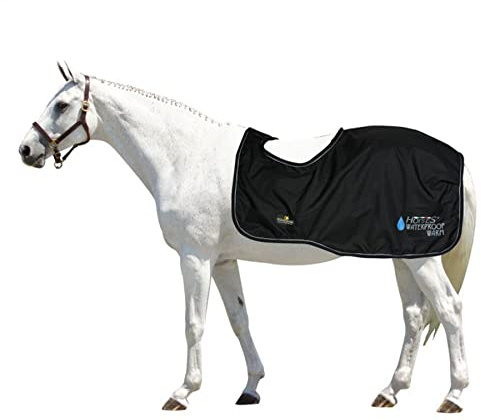 Horses, Pferdedecken Waterproof Warm, Wasserdicht, Weich, Bequem und Warm, Langlebig, Schwarz, 155 cm