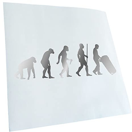 Kiwistar - Autoaufkleber - Müllmann Tonne Evolution - chrom - 30x10cm - Heckscheibe Auto Aufkleber wetterfest für Kfz LKW Mofa Truck - Sticker außen selbstklebend Tuning Zubehör für Fenster Fahrzeug