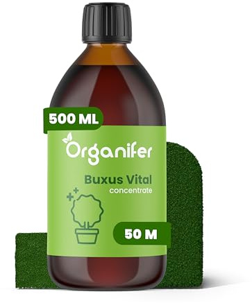Buxus Vital 500 Ml - Concentrato Per Siepi Da 50 Metri Siepe - Fertilizzante Per Bosso - Bosso - Cibo Per Piante - Resistente - Fertilizzante - Fertilizzante Per Piante - Organifer