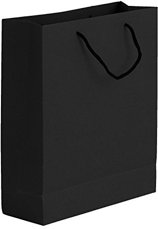 IPENNY 10 Stück Geschenktüten mit Henkel Geschenktaschen Kraftpapier Papierbeutel Papiertüten Geschenktüten Kraftpapiertüte Papiertragetaschen zum Basteln Verzieren Verschenken