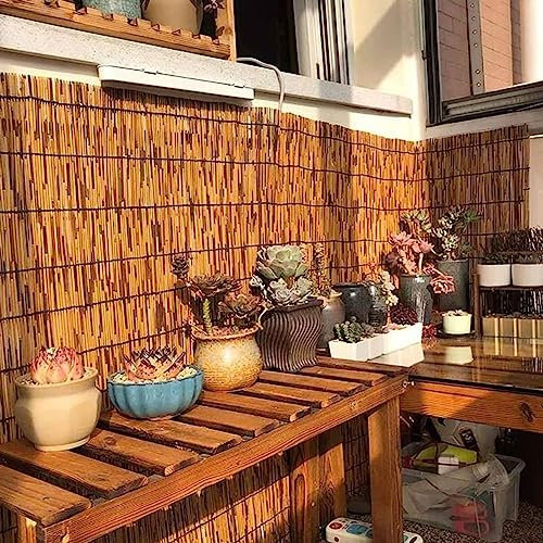 RUCRAK NatüRlicher Gartenzaunteiler Heimtextilien Sichtschutzmatte aus Schilfrohr Gartensichtschutz füR Garten Und Balkon aus Schilfrohr Sichtschutz FüR Den Balkongarten (Size : 61x213CM(2x7ft))