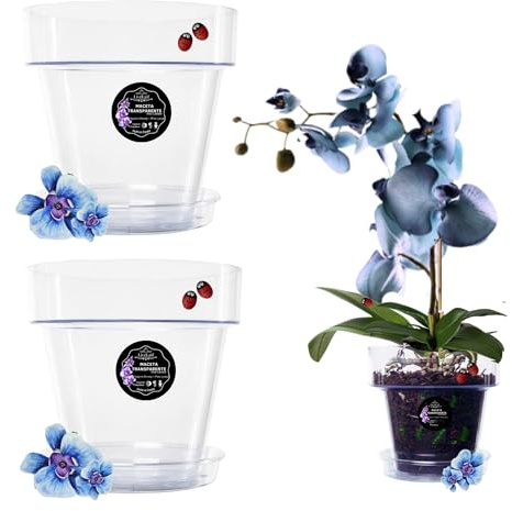 LiveLaif -2 Maceta orquidea Transparente Redonda Ø20 cm + Plato | Maceta Transparente orquidea | Agujeros Drenaje, Efecto Vidrio | Maceta para orquídeas | Hecha en España-Modelos a Elegir