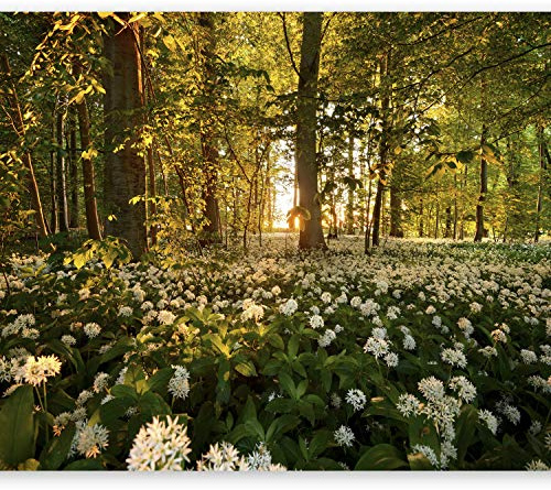 Wallpaper murando Photo Forest 250x175 cm / 98.4 x 68.9 Non-Woven Premium Art Print Fleece Wall Mural Decoration Poster Picture Design Modern Flowers Nature Sun Trees c-B-0031-a-a