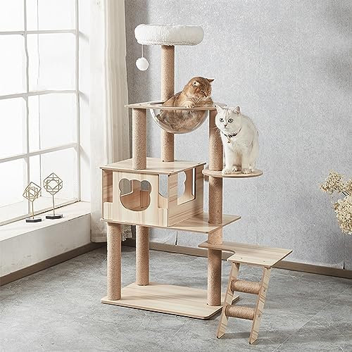 Large Transparent Space Capsule Cat Tree with Condo & Litter Box Enclosure - 55 Modern Furniture for Big Cats
