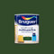 Bruguer Acrylic Multisuperficie Esmalte al agua Satinado Verde Galicia 750 ml
