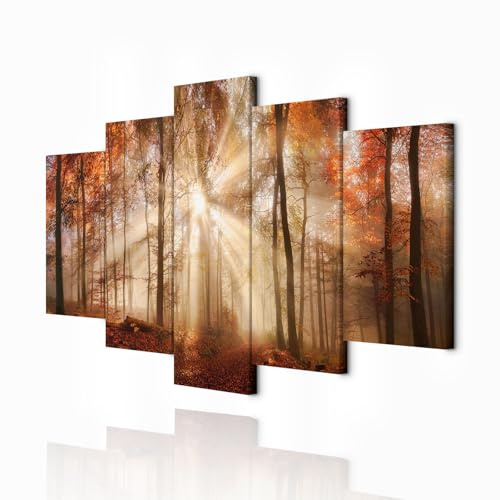 decomonkey Wandbilder Natur 200x100 cm 5 Teilig Wandbild Groß Wohnzimmer | Leinwandbild XXL, Deko, Schlafzimmer, Büro, Wanddeko, Leinwand, Pictures For Wall, Poster, Wall Painting, Abstrakte
