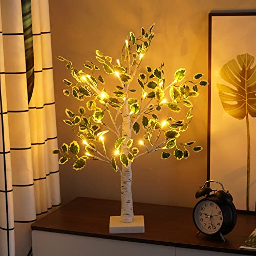 NXUEBDU Lighted Birch Trees with Green Leaves for Indoor Decor, 2ft Light Up Tree Lamp with Timer, Fairy Light Spirit Tree for Christmas, Office, Wedding, Home Decorations, USB/Battery Powered