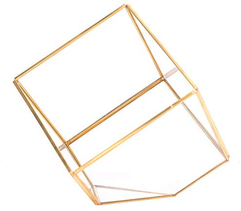 Jenngaoo Mini Terrarium Géométrique en Verre, 6In Bord d'or Géométrique Plante en Verre Planteur Pot de Fleur en Verre Plantes Succulentes Conteneur Conteneur Jardin Miniature